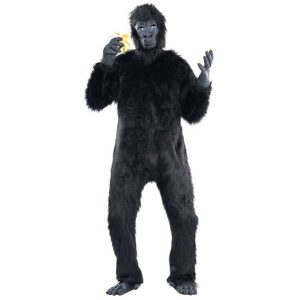Gorilla Guy