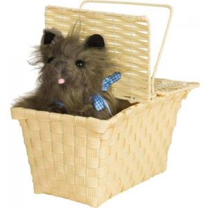 Toto In The Basket