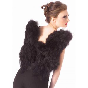 Black Feather Wings