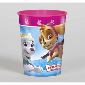 Verre en Plastique 16 Oz