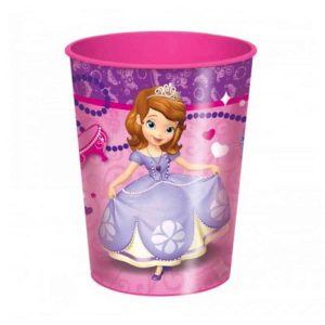 Verre en Plastique 16 oz