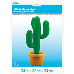 Cactus Gonflabe 34po.