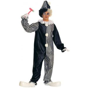 Harlequin Clown