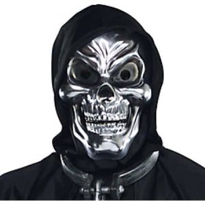 Silver Skull Mask