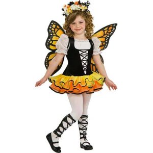 Monarch Butterfly