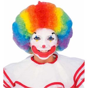 Multi Color Child Clown Wig