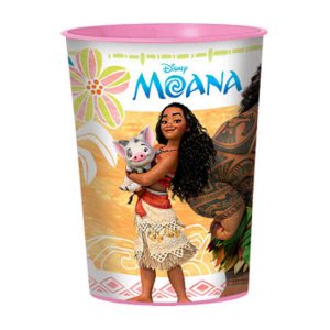 Verre en Plastique 16 oz