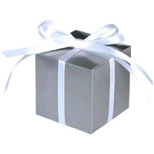 Boîtes à Gâteries 100/pqt - Argent