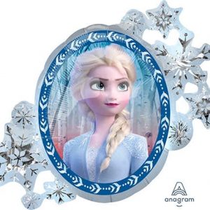 M.30'' FROZEN 2 HOLO H/S