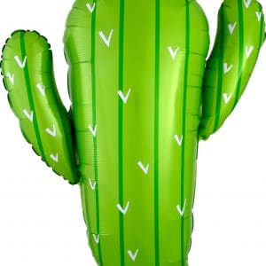 M.31'' CACTUS H/S