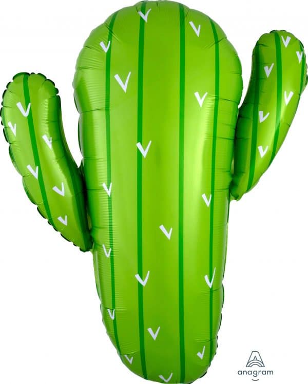 M.31'' CACTUS H/S