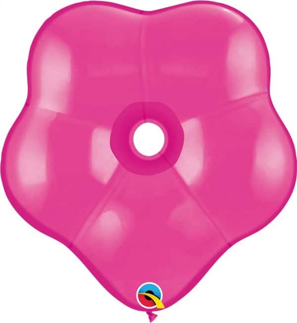 B.16'' BLOSSOM WILD BERRY P/25