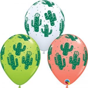 B.11'' CACTUS P/50