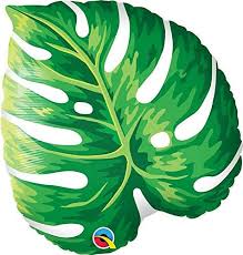 M.21'' TROPICAL PHILODENDRON